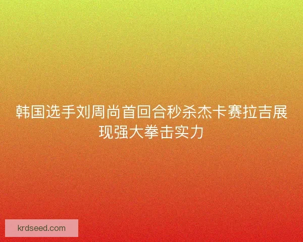 韩国选手刘周尚首回合秒杀杰卡赛拉吉展现强大拳击实力
