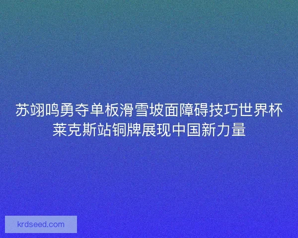 苏翊鸣勇夺单板滑雪坡面障碍技巧世界杯莱克斯站铜牌展现中国新力量 苏翊鸣勇夺单板滑雪坡面障碍技巧世界杯莱克斯站铜牌展现中国新力量