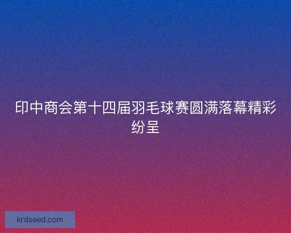 印中商会第十四届羽毛球赛圆满落幕精彩纷呈