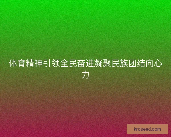 体育精神引领全民奋进凝聚民族团结向心力